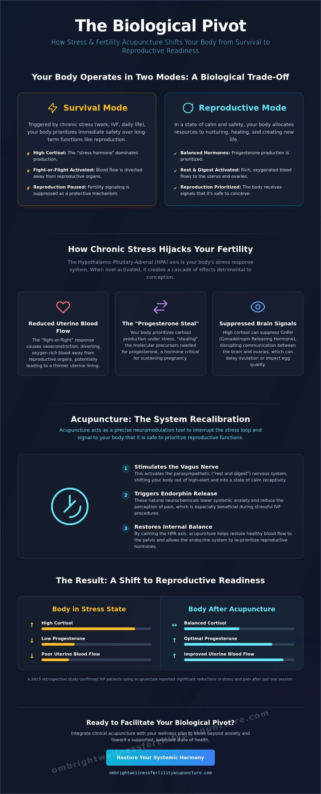 How Stress and Fertility Acupuncture Works: A Guide to Restoring Balance