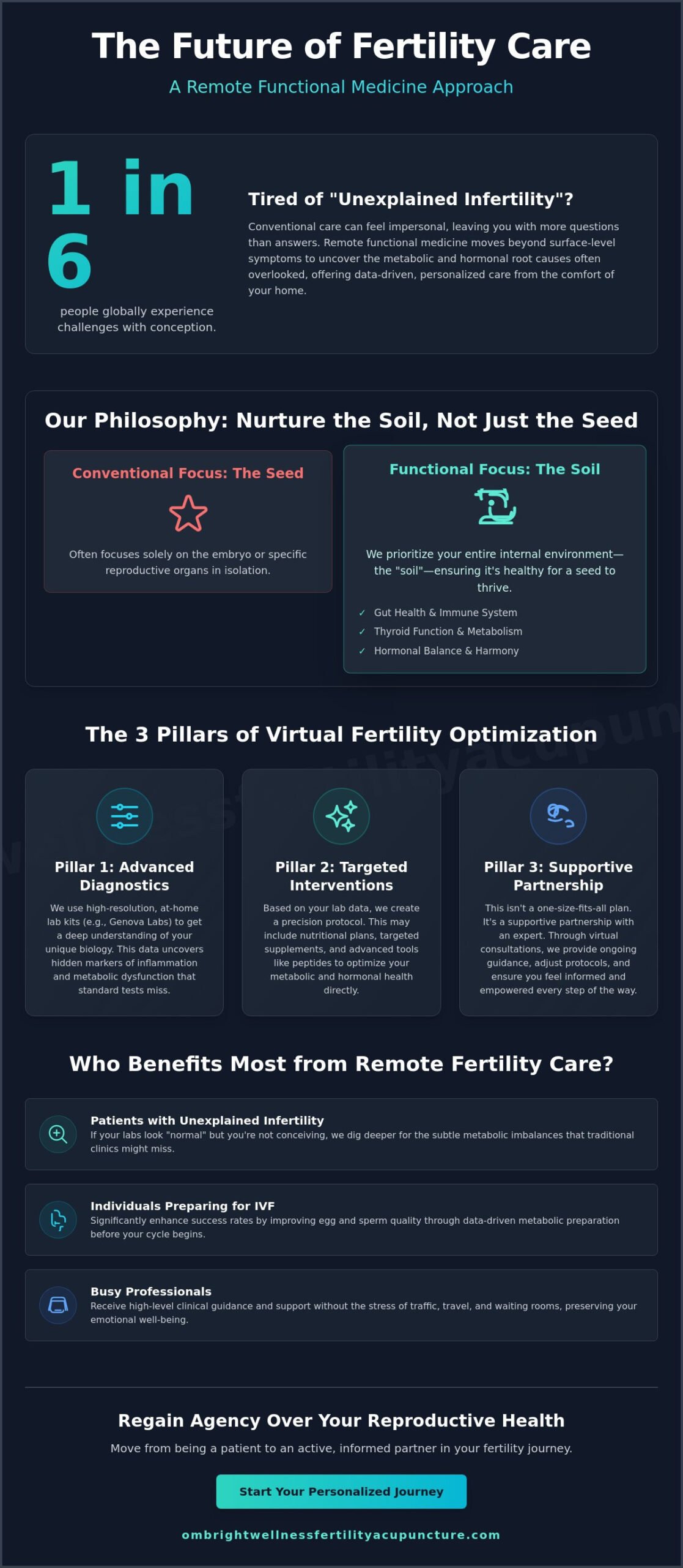 Remote Functional Medicine for Fertility: A Comprehensive Resource Guide