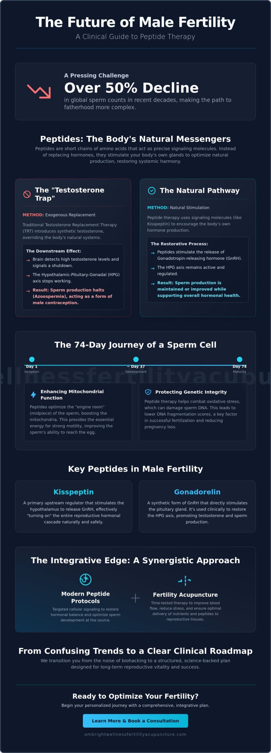Peptide Therapy for Male Fertility: A Modern Integrative Guide to Optimizing Sperm Quality (2026)