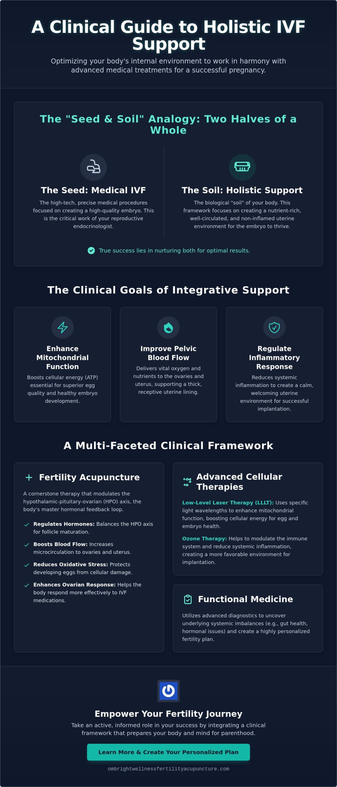 Holistic IVF Support in Miami: Optimizing Your Path to Success