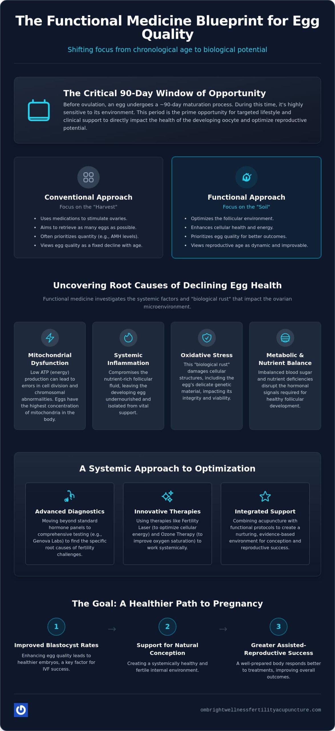 Functional Medicine for Egg Quality: Optimizing Your Ovarian Environment in 2026